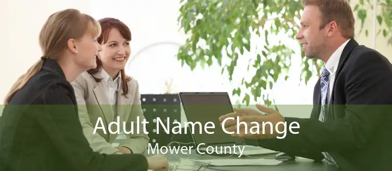 Adult Name Change Mower County